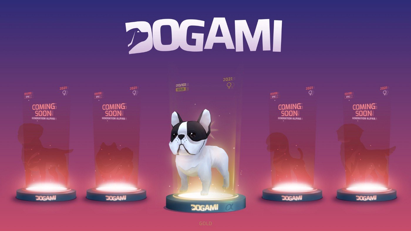 - Crypto and Coin sneak peek of the DOGAMÍ gameplay