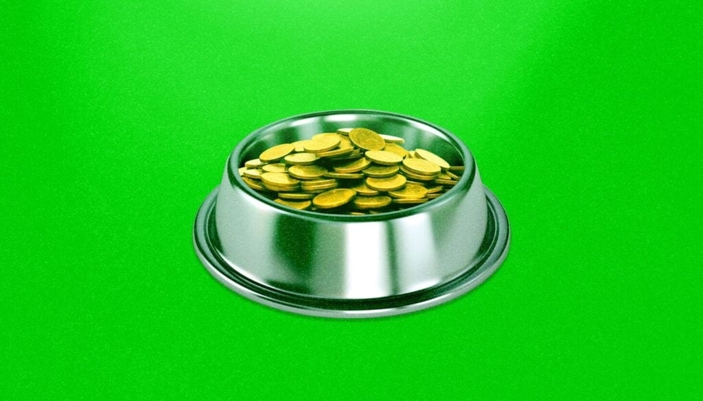 Dogecoin_1_Green_Website_Illustration.jpg - Crypto and Coin Shiba Inu coin: Why Shib coin saw a new surge in price