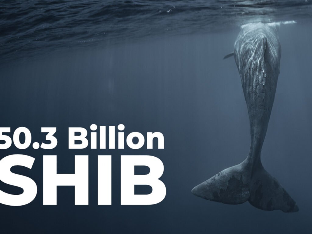 50.3 Billion SHIB Bought by This Whale as SHIB Becomes Most Used Smart Contract