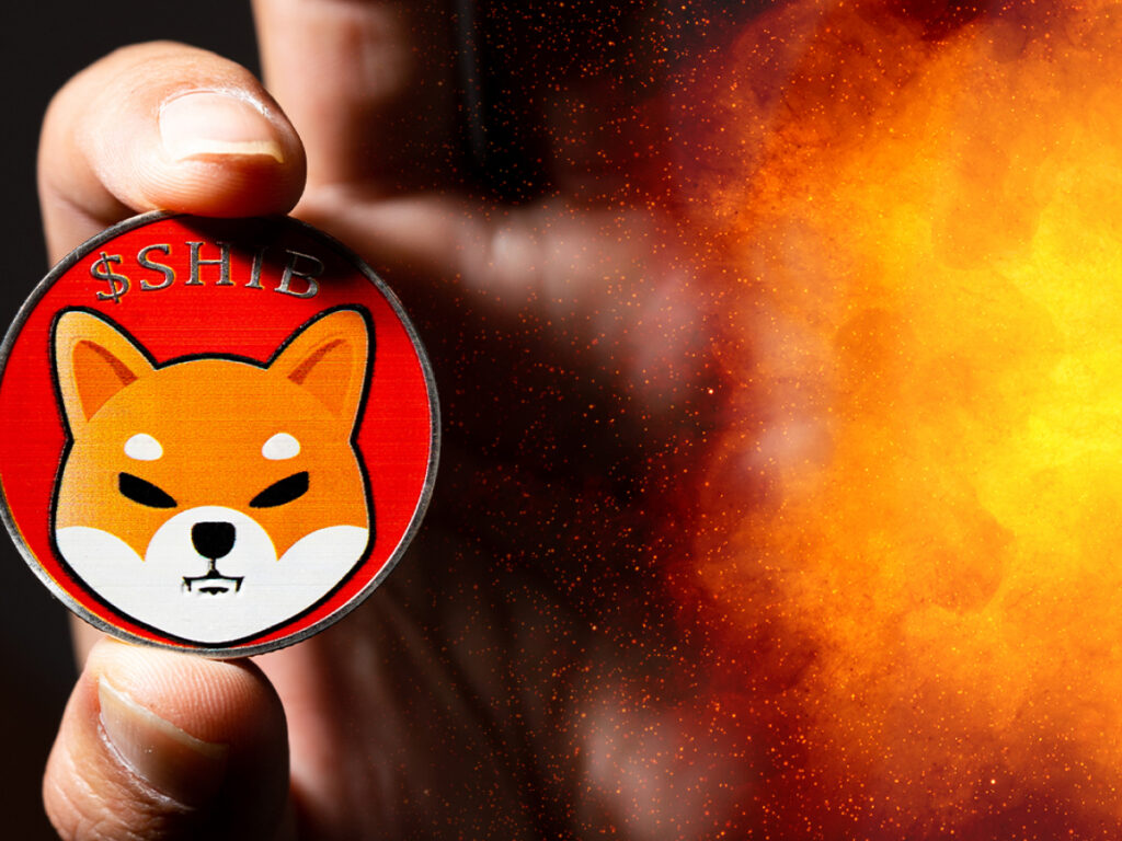 22.2 Billion SHIB Burned Within Week, 667 Million Removed in 24 Hours