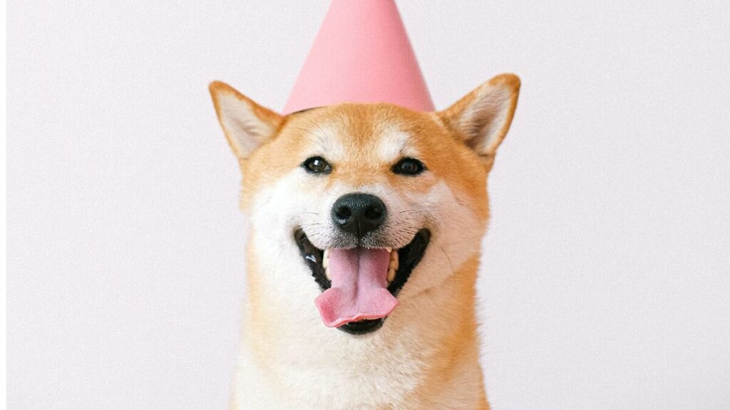 Shiba Inu: What is the easiest way to buy this meme coin?