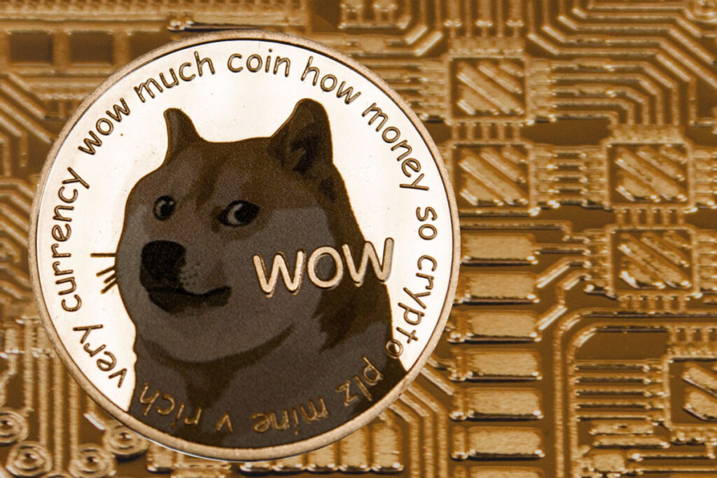 4 Reasons Why DOGE Has Crashed