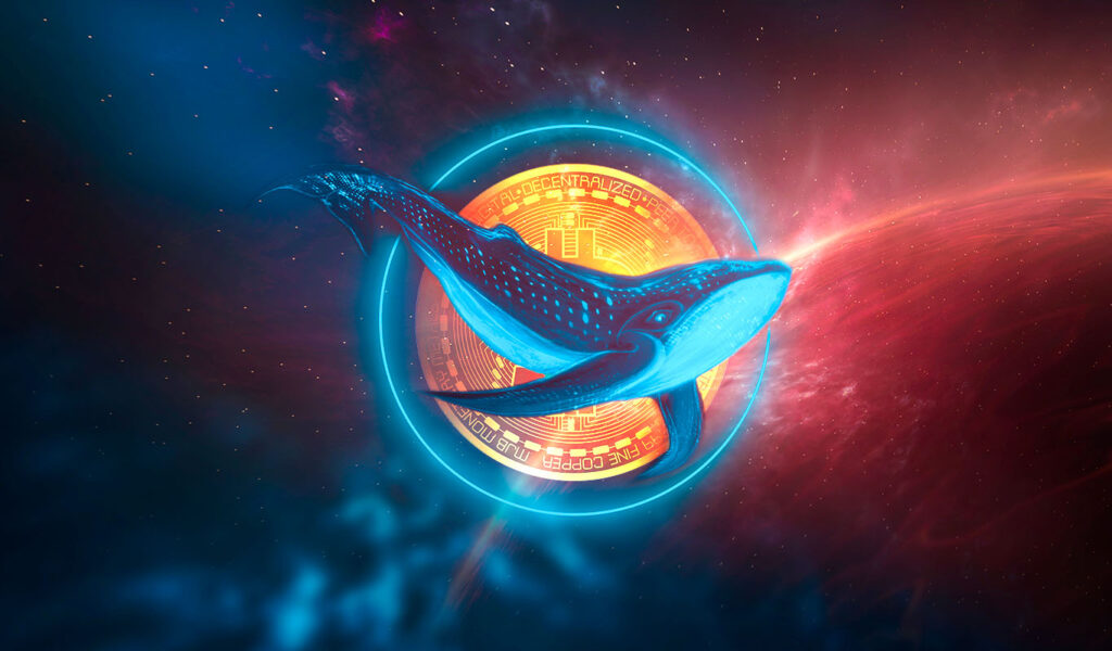 massive-whale-abruptly-moves.jpg - Crypto and Coin