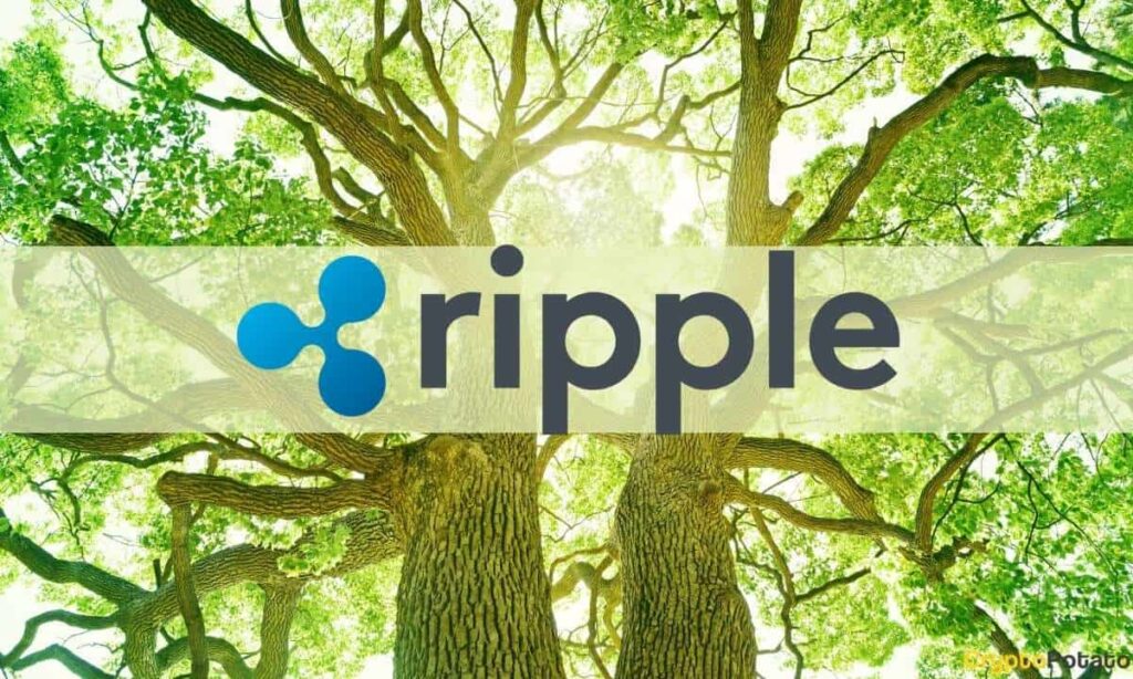 ripple_green_cover.jpg - Crypto and Coin