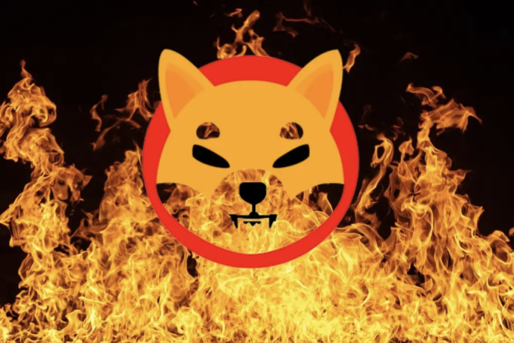 509M Shiba Inu Burned In The Last 48 Hours, Now The Token Can Be Burned Via Amazon As Well