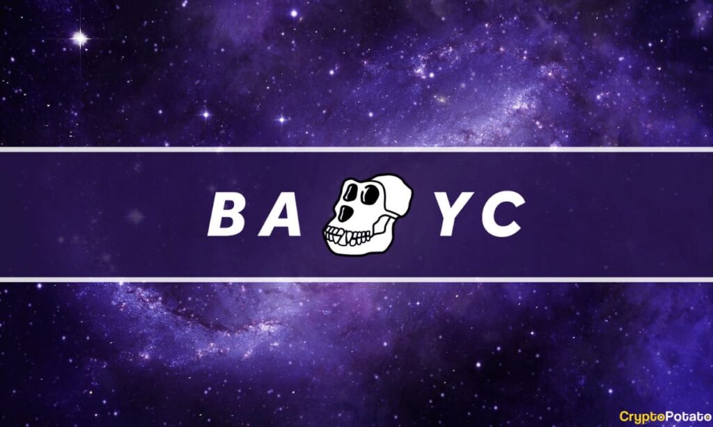 BAYC.jpg - Crypto and Coin