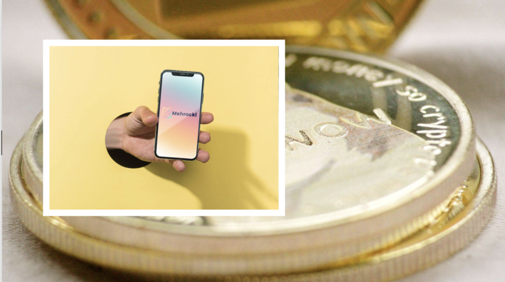 Can The Mehracki Token (MKI) Be As Successful As The Dogecoin (DOGE) and Shiba Inu (SHIB)?