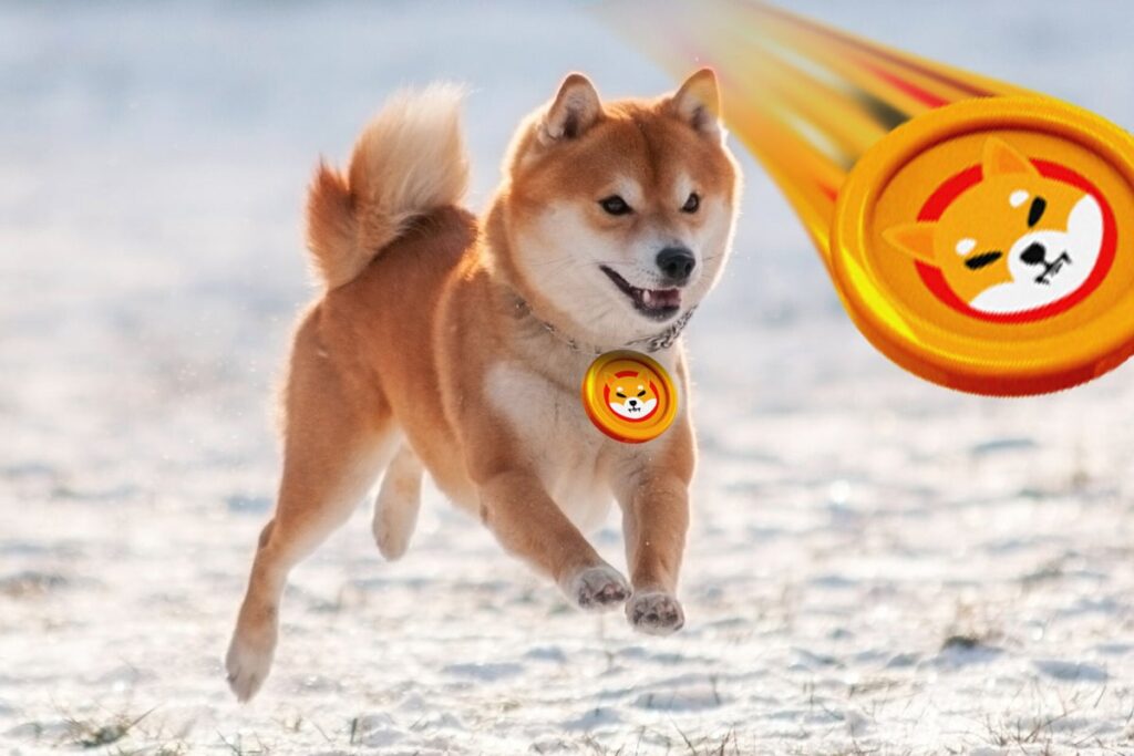 Here's Why Americans In 19 States Want To Sell Shiba Inu More Than Other Top Cryptos