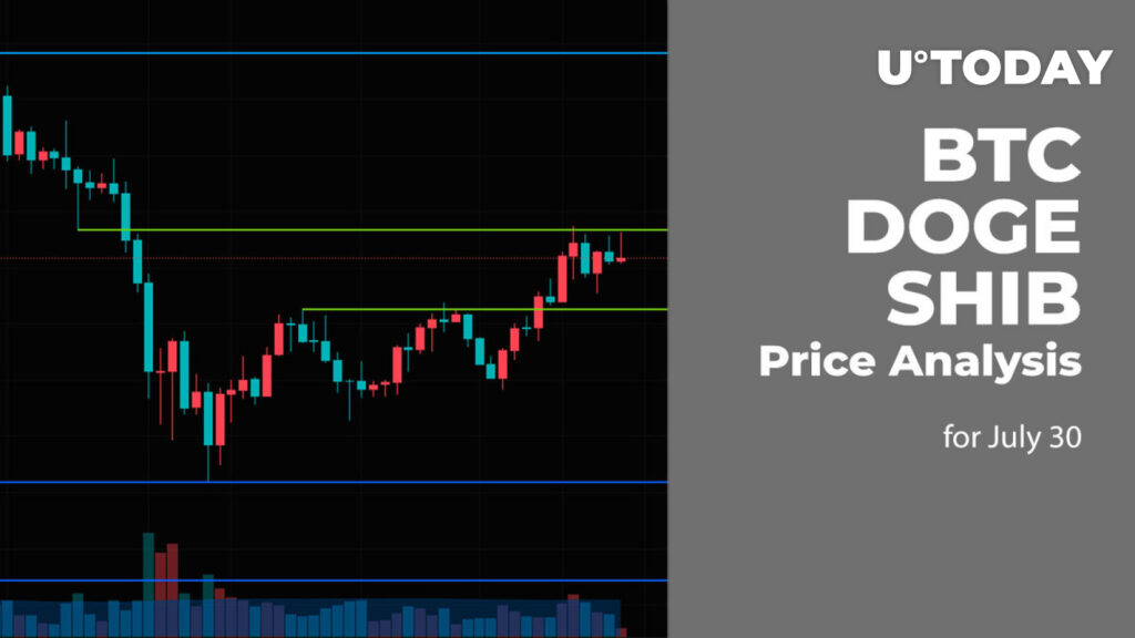 BTC, DOGE and SHIB Price Analysis for July 30