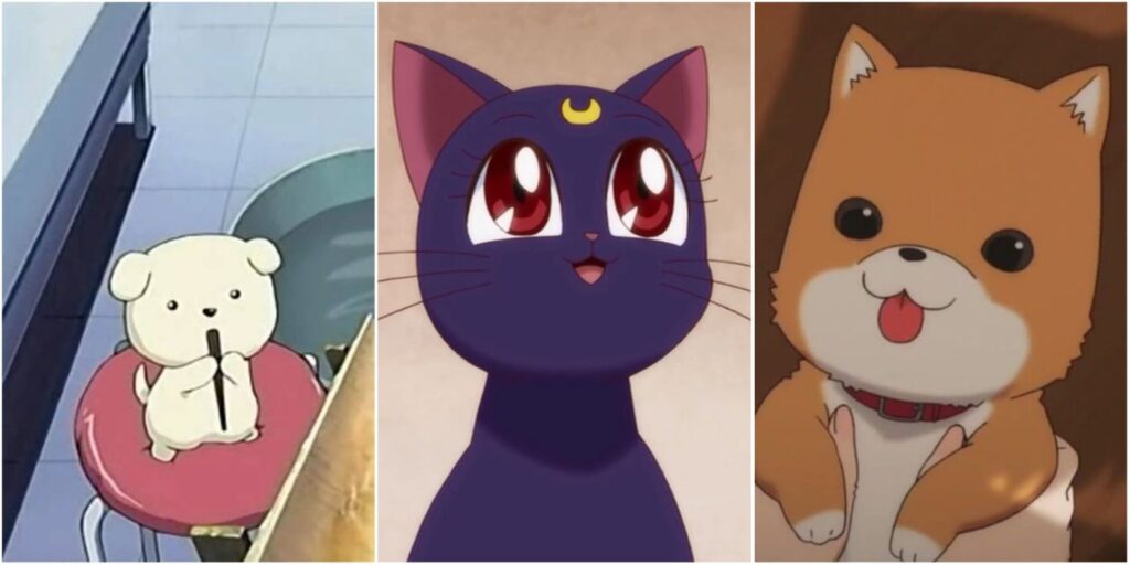 Cutest Anime Animals