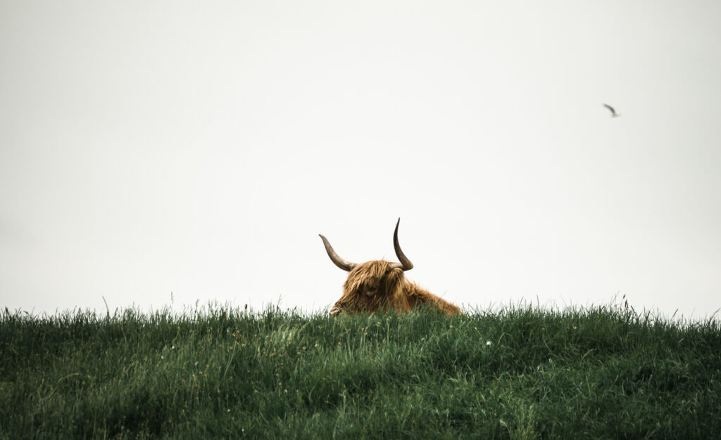 iStock-148243270.jpg - Crypto and Coin