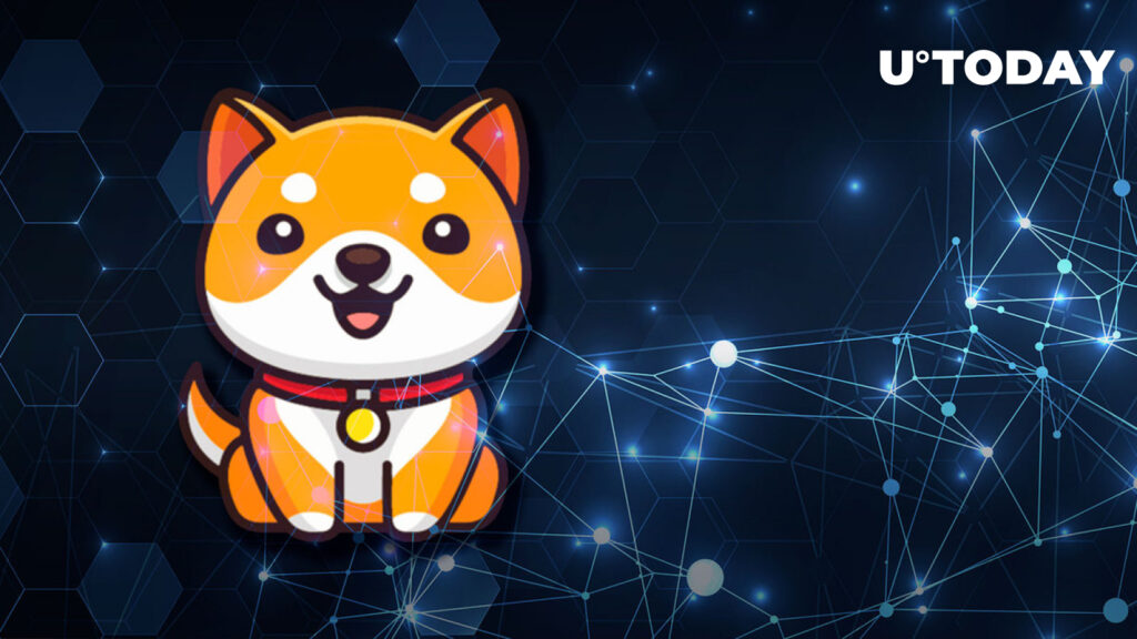Less Than 24 Hours Before Baby Doge Testnet Launch