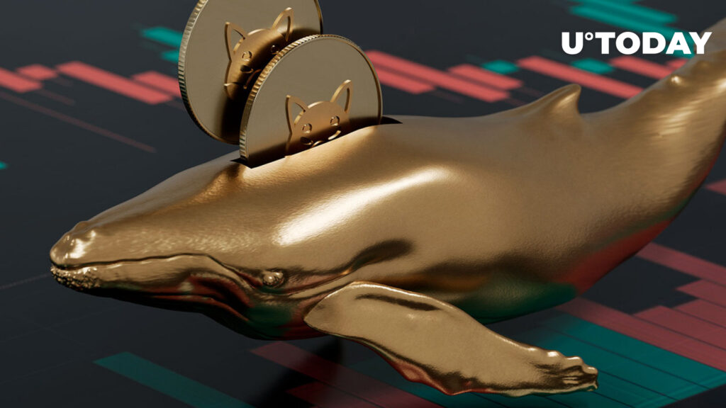 Whales Grab 383.7 Billion SHIB Overnight: Report