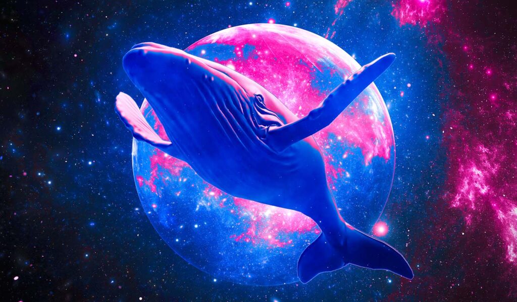 Whale-Makes-Over.jpg - Crypto and Coin