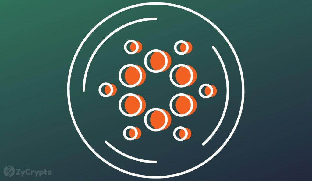 Cardano Price Eyes 30% Rally As ADA Accumulation Accelerates Among Whales and Sharks