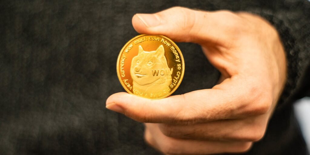 close up shot of person holding dogecoin