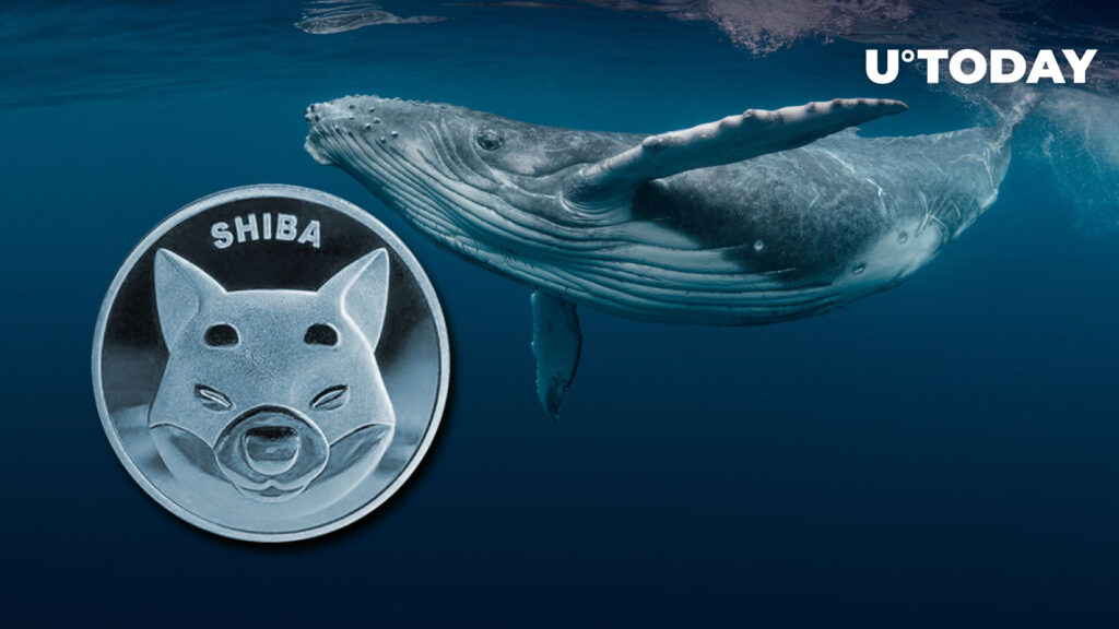 SHIB Trading Volume Up 102% As Whales Grab 323 Billion Coins in 24 Hours