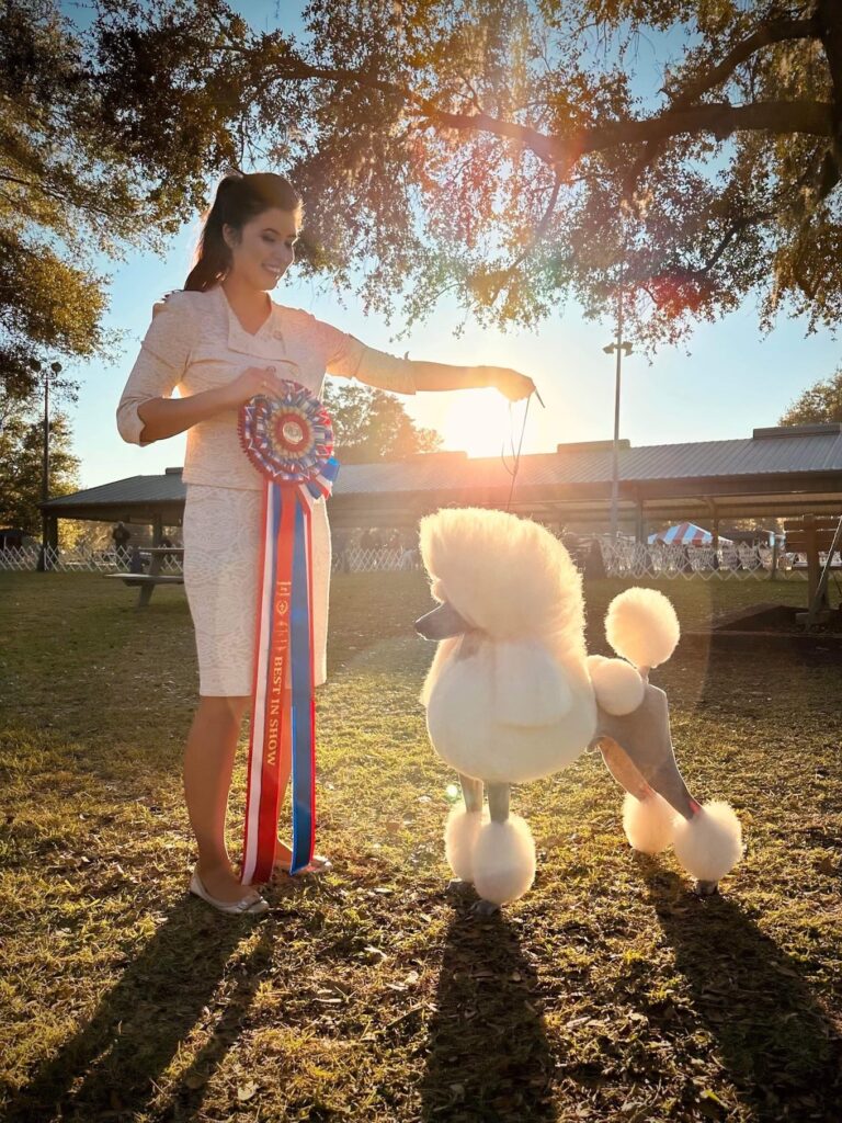 Seminole Dog Fanciers Association – Friday, November 18, 2022