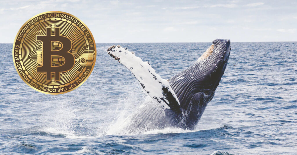 bitcoin-whales.jpeg - Crypto and Coin