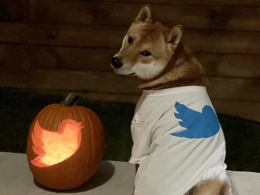 Elon Musk to turn Twitter into payment platform for dogecoin and crypto OLD