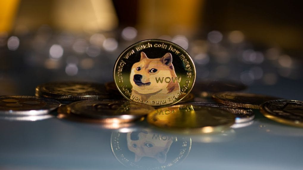 dogecoin-shutterstock-1019x573.jpg - Crypto and Coin As Elon Musk 'frees' Twitter, Dogecoin flies