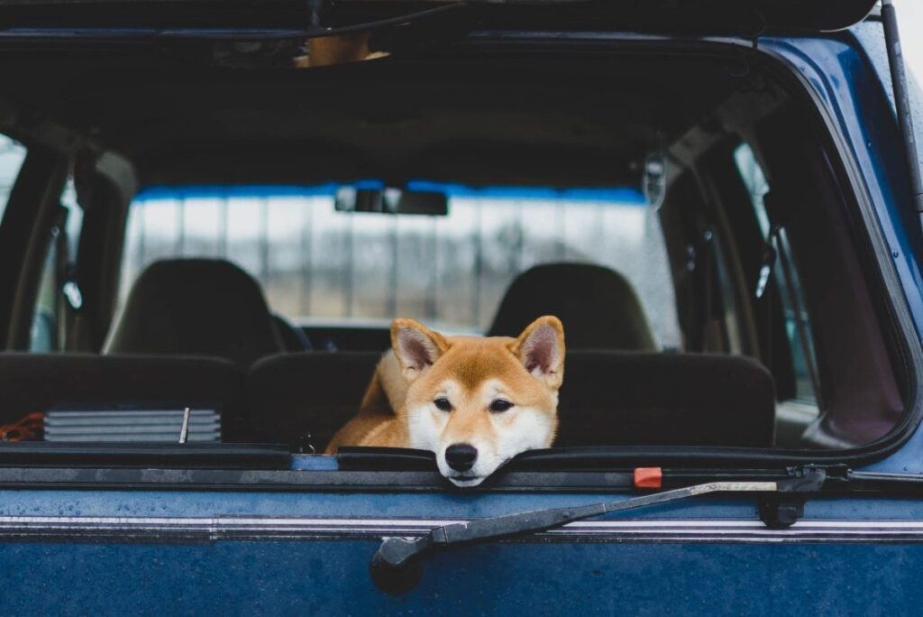 Crypto markets provide flat backdrop to Doge uplift on more Musk rumours