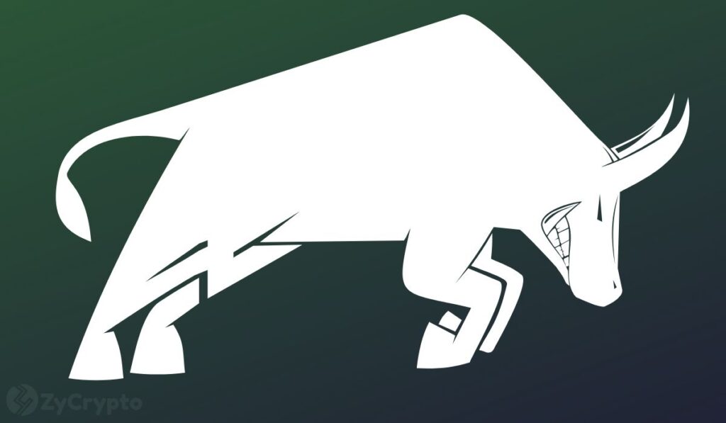 Why Dogecoin and Chainlink Are Primed For a Bullish Yearly Close