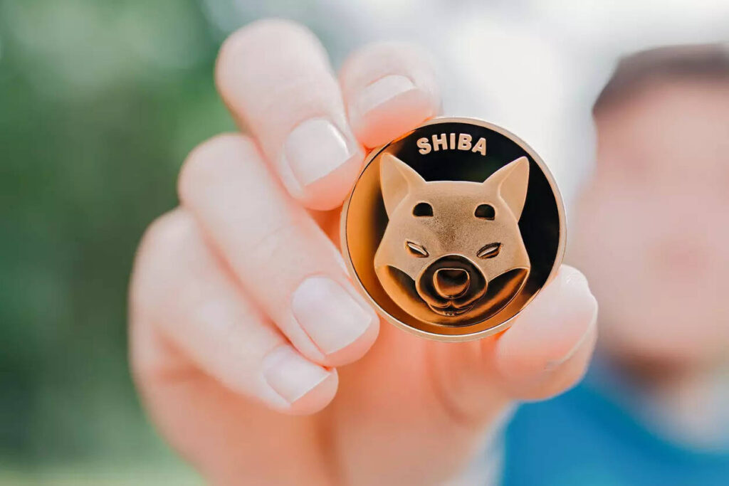 Shiba Inu: SHIB Holder Count Plummets Amidst Market Chaos
