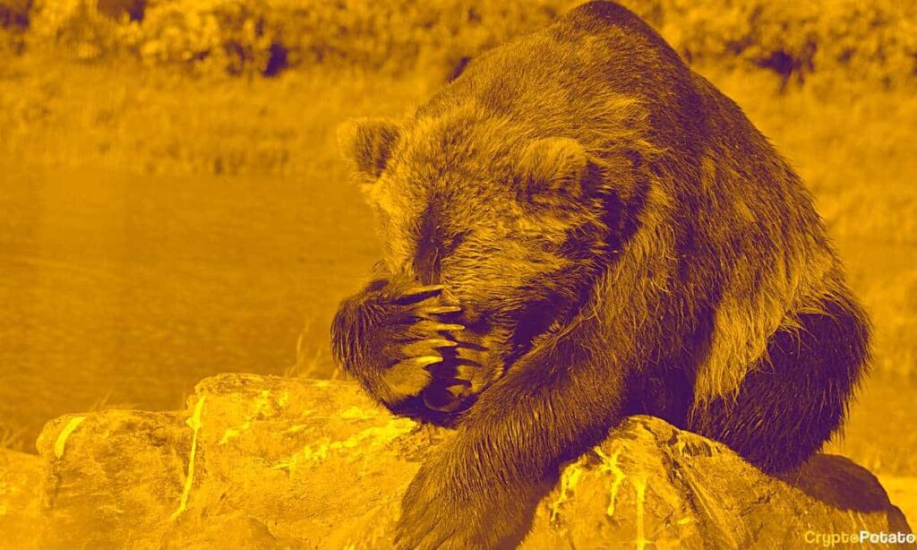 bears_cry_cover.jpg - Crypto and Coin