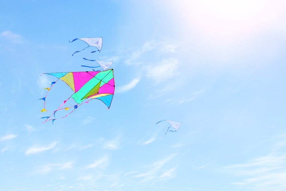 shutterstock_721483402.jpg - Crypto and Coin