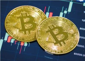 Sharesies Makes Bold Move into Cryptocurrency Trading to Meet Soaring Demand - Crypto and Coin Sharesies Makes Bold Move into Cryptocurrency Trading to Meet Soaring Demand